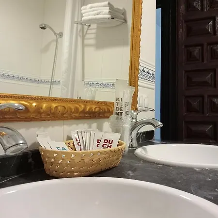 Hotel Nuevo Arlanza 3*
