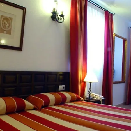 호텔 Nuevo Arlanza 3*