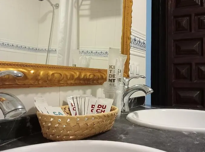 Hotel Nuevo Arlanza 3*